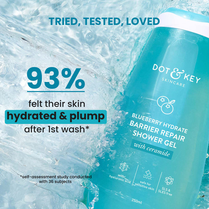 DOT&KEY SKINCARE BLUEBERRY HYDRATE BARRIER REPAIR SHOWER GEL WITH CERAMIDE 250ML — photo 3