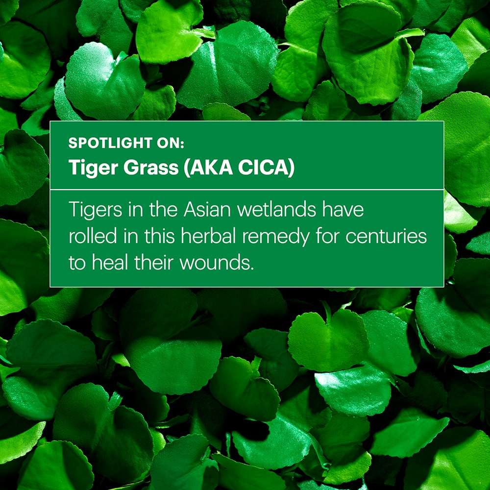 Dr. Jart+ Cicapair Tiger Grass Color Correcting Treatment 50ml — photo 4