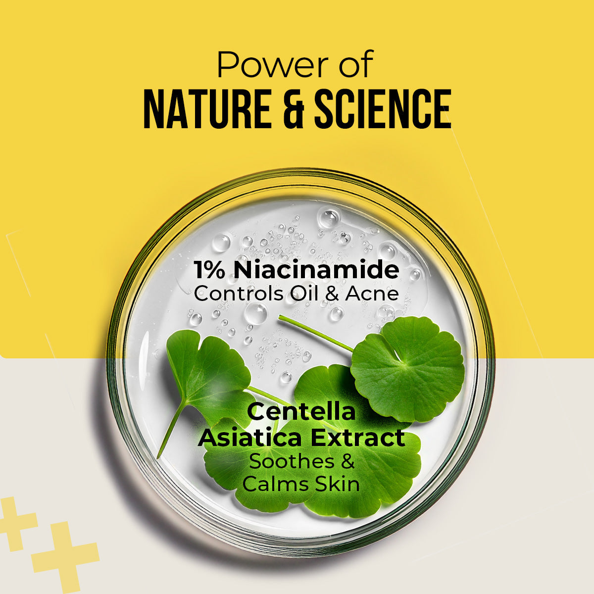 DR. SHETH S CENTELLA & NIACINAMIDE SUNSCREEN SPF 50 — photo 4