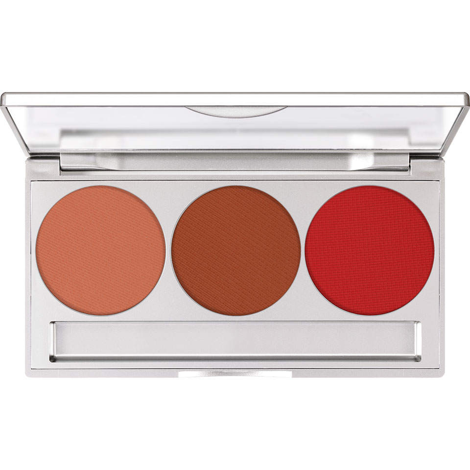 KRYOLAN PROFESSIONAL TRIO BLUSHER SET MAGNETIC 7.5G — photo 4