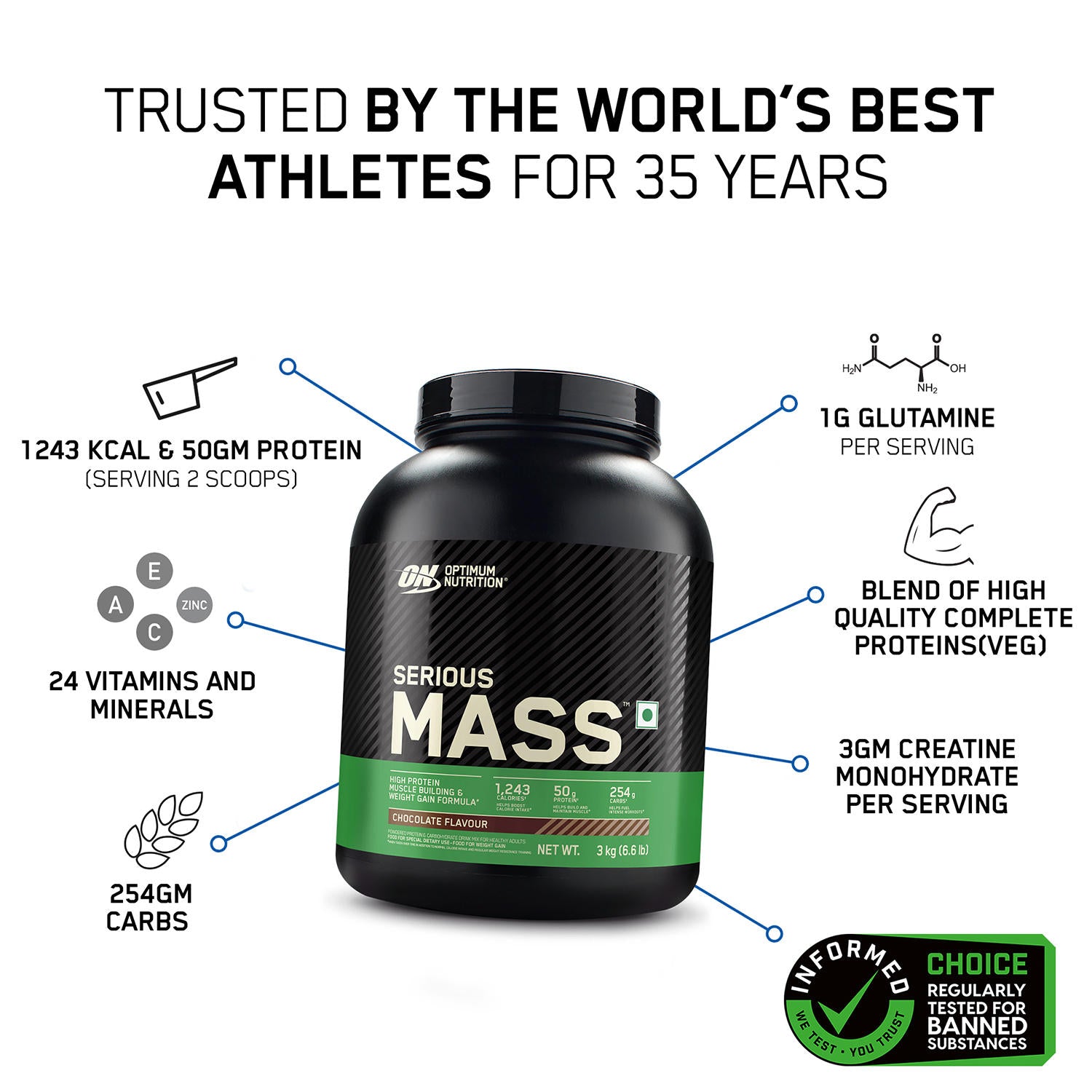 Optimum Nutrition Serious Mass Weight Gainer, Chocolate, 1kg (2.2 lbs) — photo 3