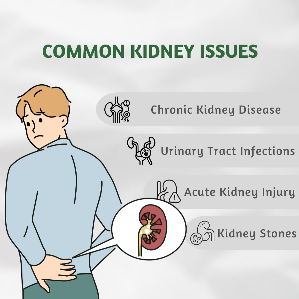 PURE NUTRITION KIDNEY DETOX WITH TURMERIC VITAMIN C - 500G 60'S — photo 4