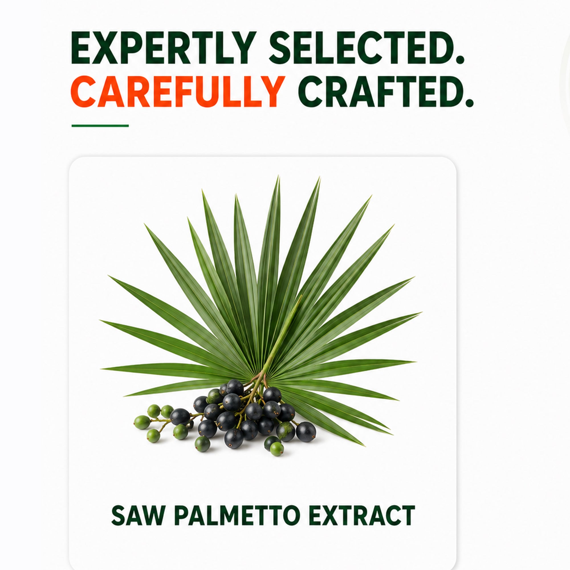 PURE NUTRITION SAW PALMETTO 10:1 EXTRACT 1000MG 120 CAPSULES — photo 3