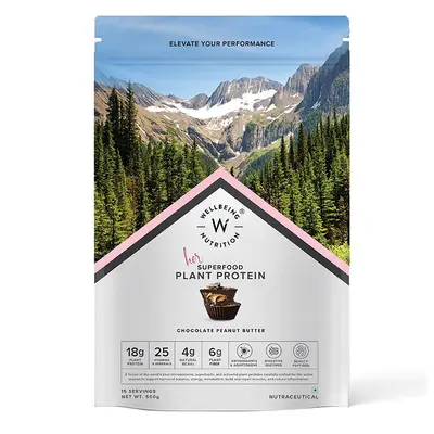 WELL BEING NUTRITION SUPERFOOD PLANT PROTEIN 500G