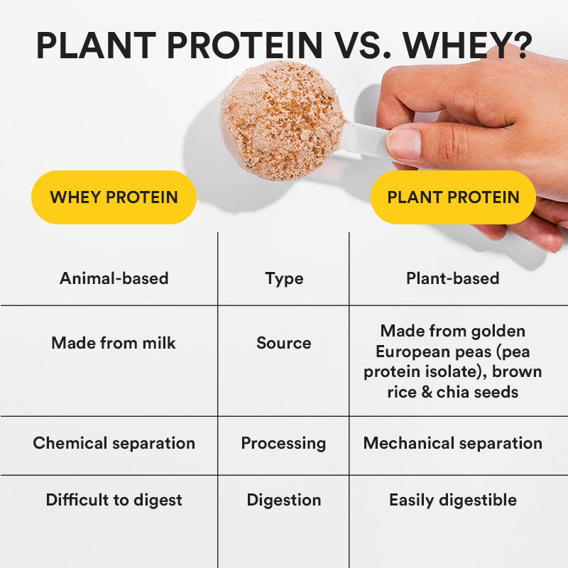WELL BEING NUTRITION SUPERFOOD PLANT PROTEIN 500G — photo 4