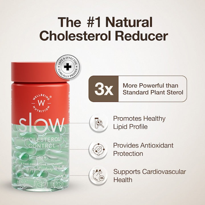 WELLBEING SLOW CHOLESTROL CONTROL 60N — photo 2