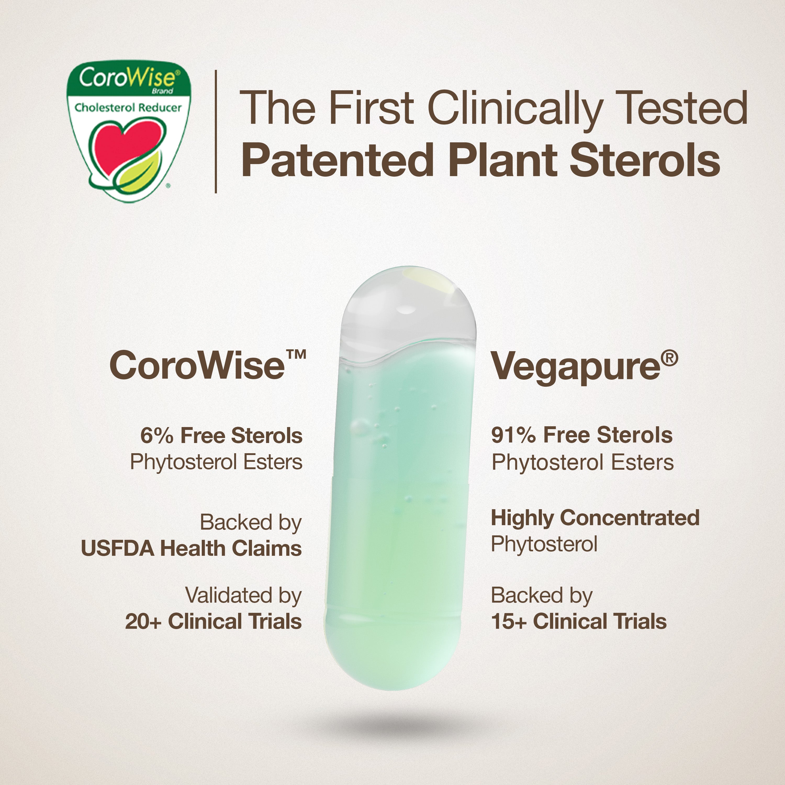 WELLBEING SLOW CHOLESTROL CONTROL 60N — photo 3