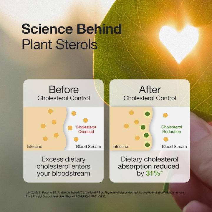 WELLBEING SLOW CHOLESTROL CONTROL 60N — photo 4